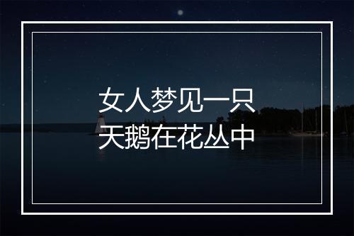 女人梦见一只天鹅在花丛中