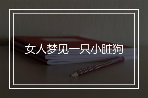 女人梦见一只小脏狗