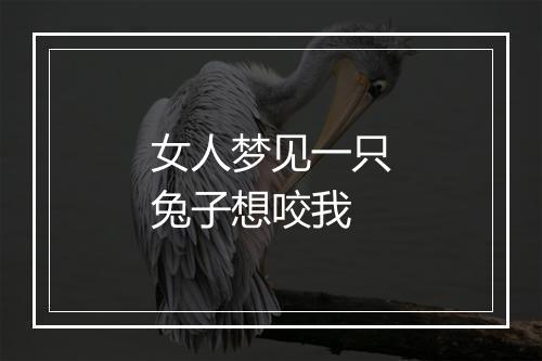 女人梦见一只兔子想咬我