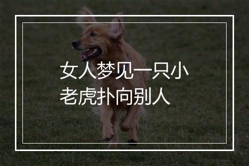 女人梦见一只小老虎扑向别人