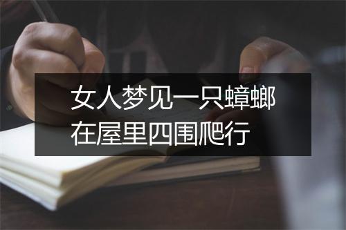 女人梦见一只蟑螂在屋里四围爬行