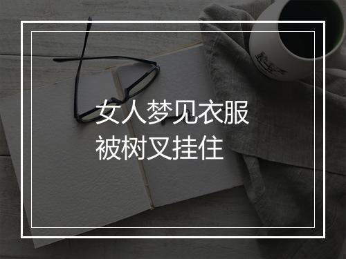 女人梦见衣服被树叉挂住