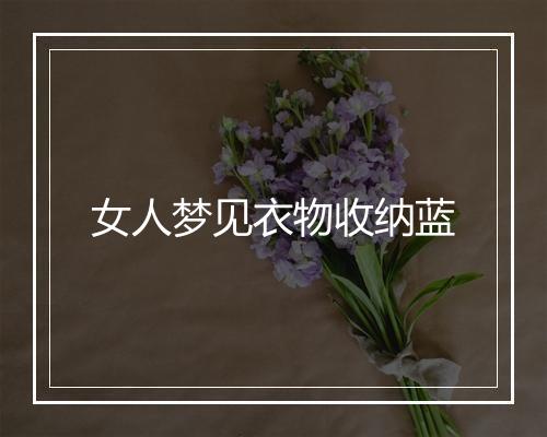 女人梦见衣物收纳蓝