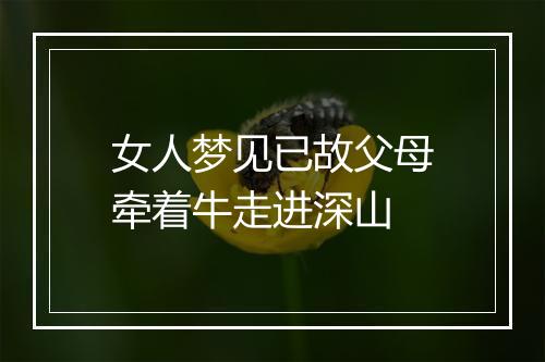 女人梦见已故父母牵着牛走进深山