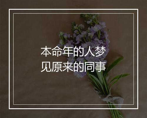 本命年的人梦见原来的同事