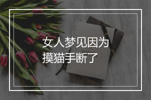 女人梦见因为摸猫手断了