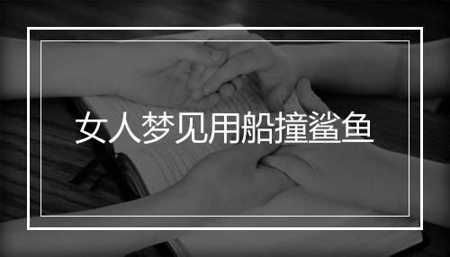 女人梦见用船撞鲨鱼