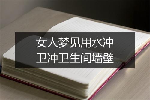 女人梦见用水冲卫冲卫生间墙壁