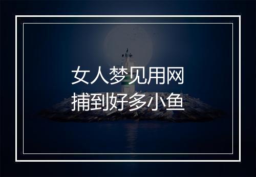 女人梦见用网捕到好多小鱼