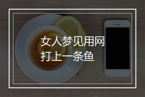 女人梦见用网打上一条鱼