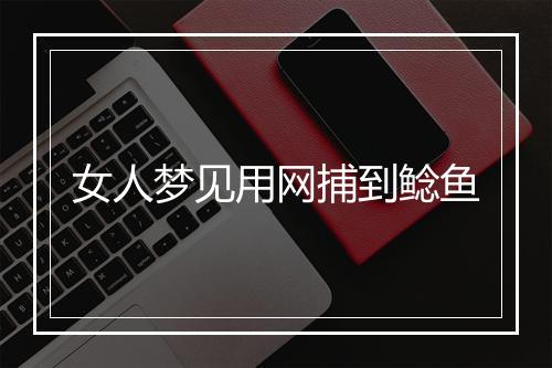 女人梦见用网捕到鲶鱼