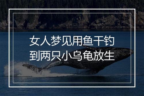 女人梦见用鱼干钓到两只小乌龟放生