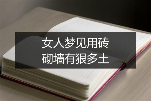 女人梦见用砖砌墙有狠多土