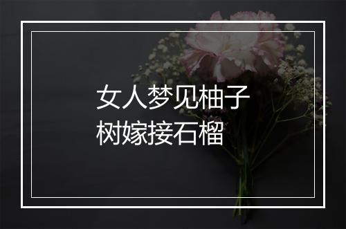 女人梦见柚子树嫁接石榴