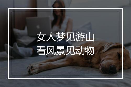 女人梦见游山看风景见动物