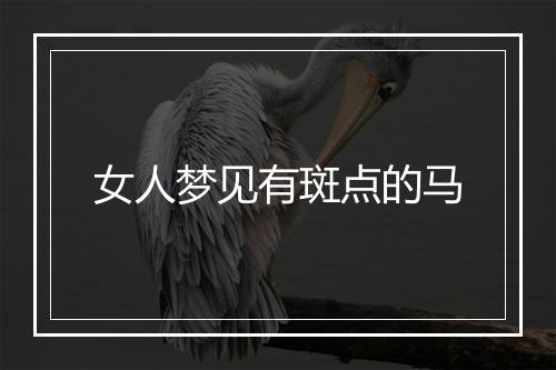 女人梦见有斑点的马