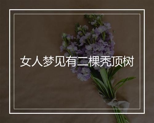 女人梦见有二棵秃顶树