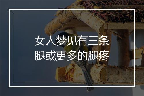 女人梦见有三条腿或更多的腿疼