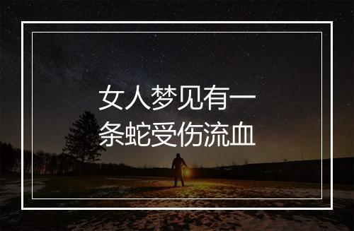 女人梦见有一条蛇受伤流血