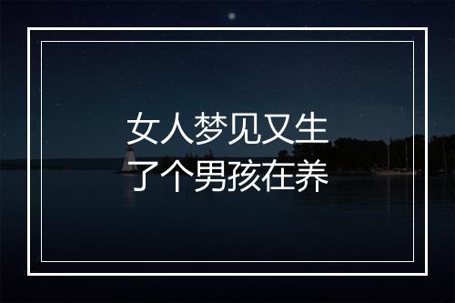 女人梦见又生了个男孩在养