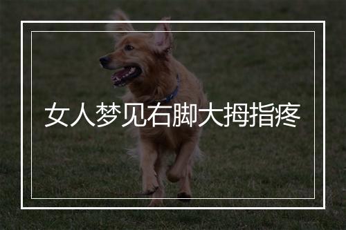 女人梦见右脚大拇指疼