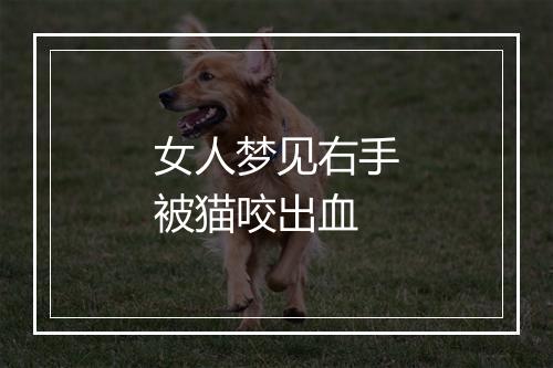 女人梦见右手被猫咬出血