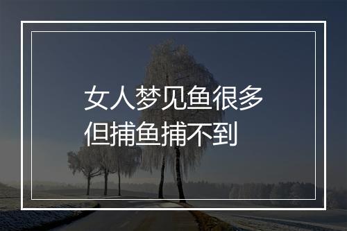 女人梦见鱼很多但捕鱼捕不到