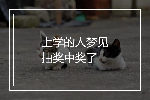 上学的人梦见抽奖中奖了