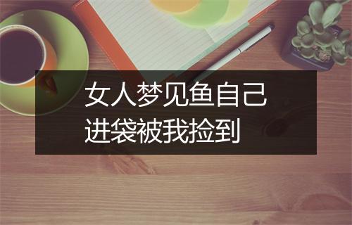 女人梦见鱼自己进袋被我捡到