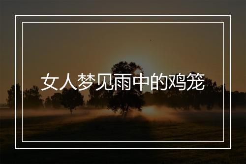 女人梦见雨中的鸡笼