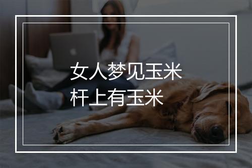 女人梦见玉米杆上有玉米