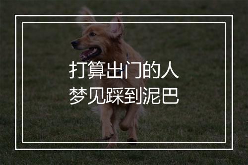 打算出门的人梦见踩到泥巴