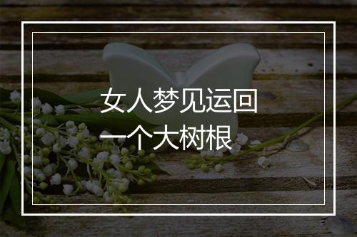 女人梦见运回一个大树根