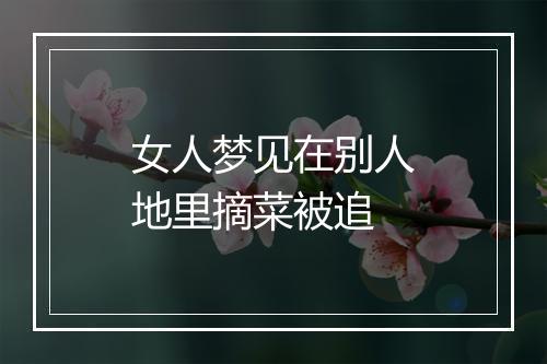 女人梦见在别人地里摘菜被追