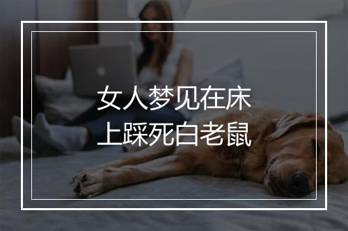 女人梦见在床上踩死白老鼠