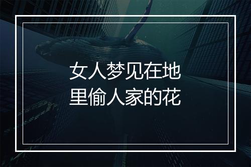 女人梦见在地里偷人家的花