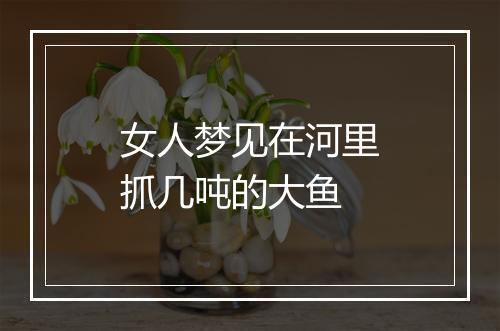 女人梦见在河里抓几吨的大鱼