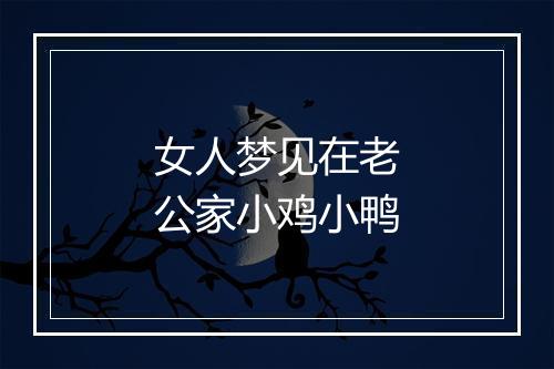 女人梦见在老公家小鸡小鸭