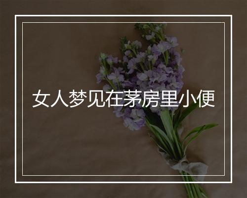 女人梦见在茅房里小便