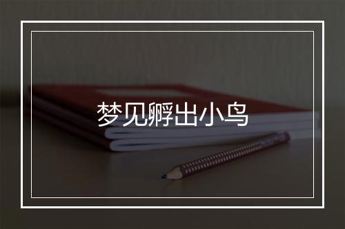 梦见孵出小鸟