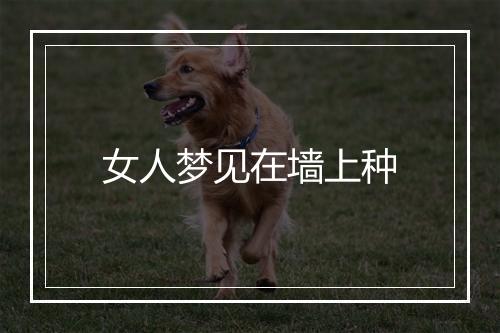 女人梦见在墙上种