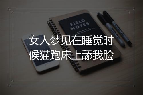 女人梦见在睡觉时候猫跑床上舔我脸