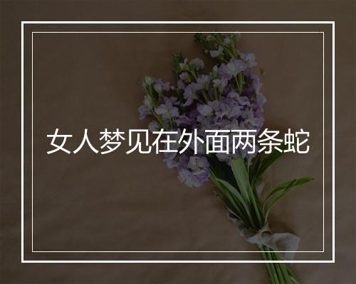 女人梦见在外面两条蛇