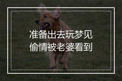 准备出去玩梦见偷情被老婆看到