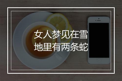 女人梦见在雪地里有两条蛇