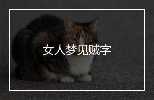 女人梦见贼字