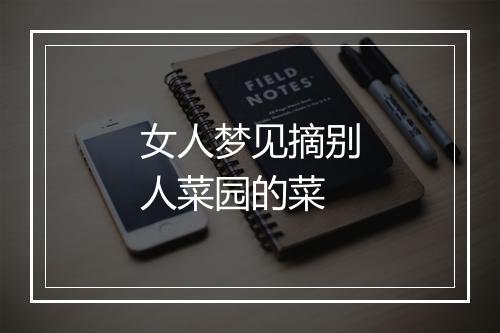 女人梦见摘别人菜园的菜