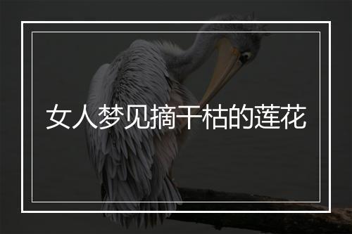 女人梦见摘干枯的莲花