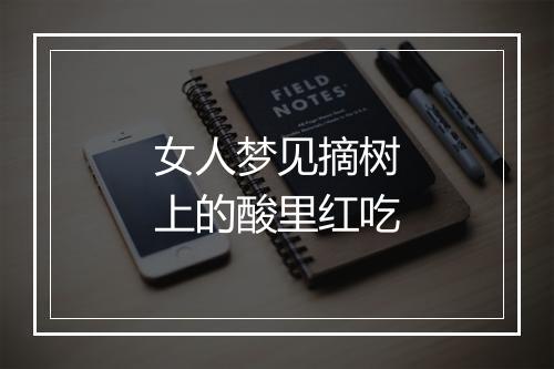 女人梦见摘树上的酸里红吃