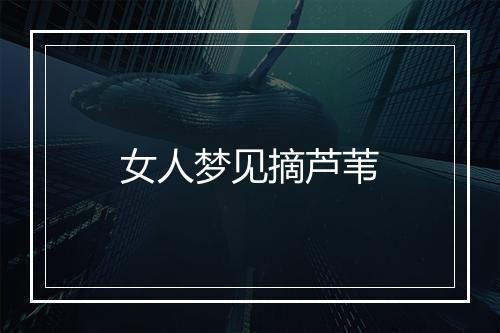 女人梦见摘芦苇